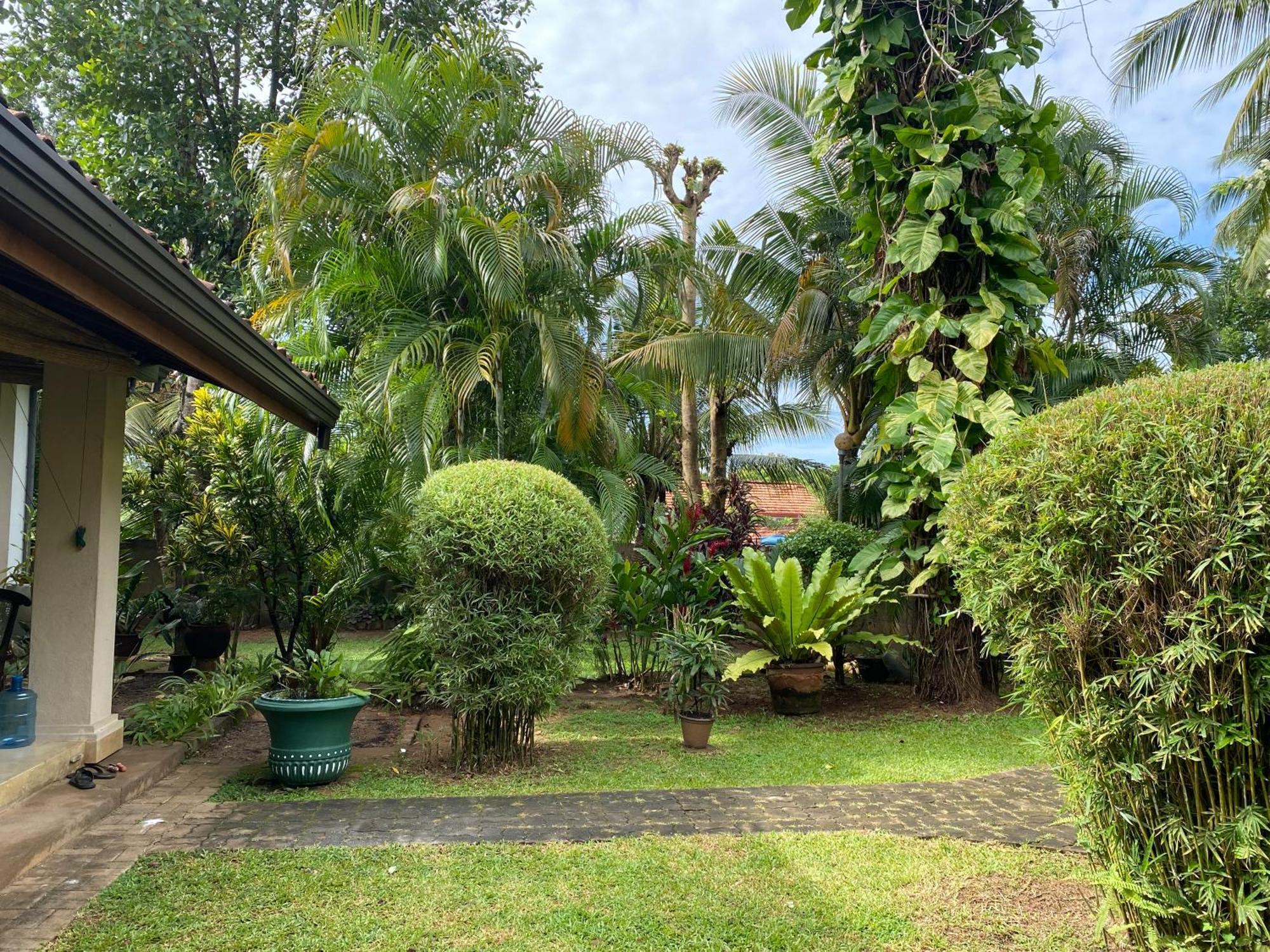 Tangalle Green House Kültér fotó