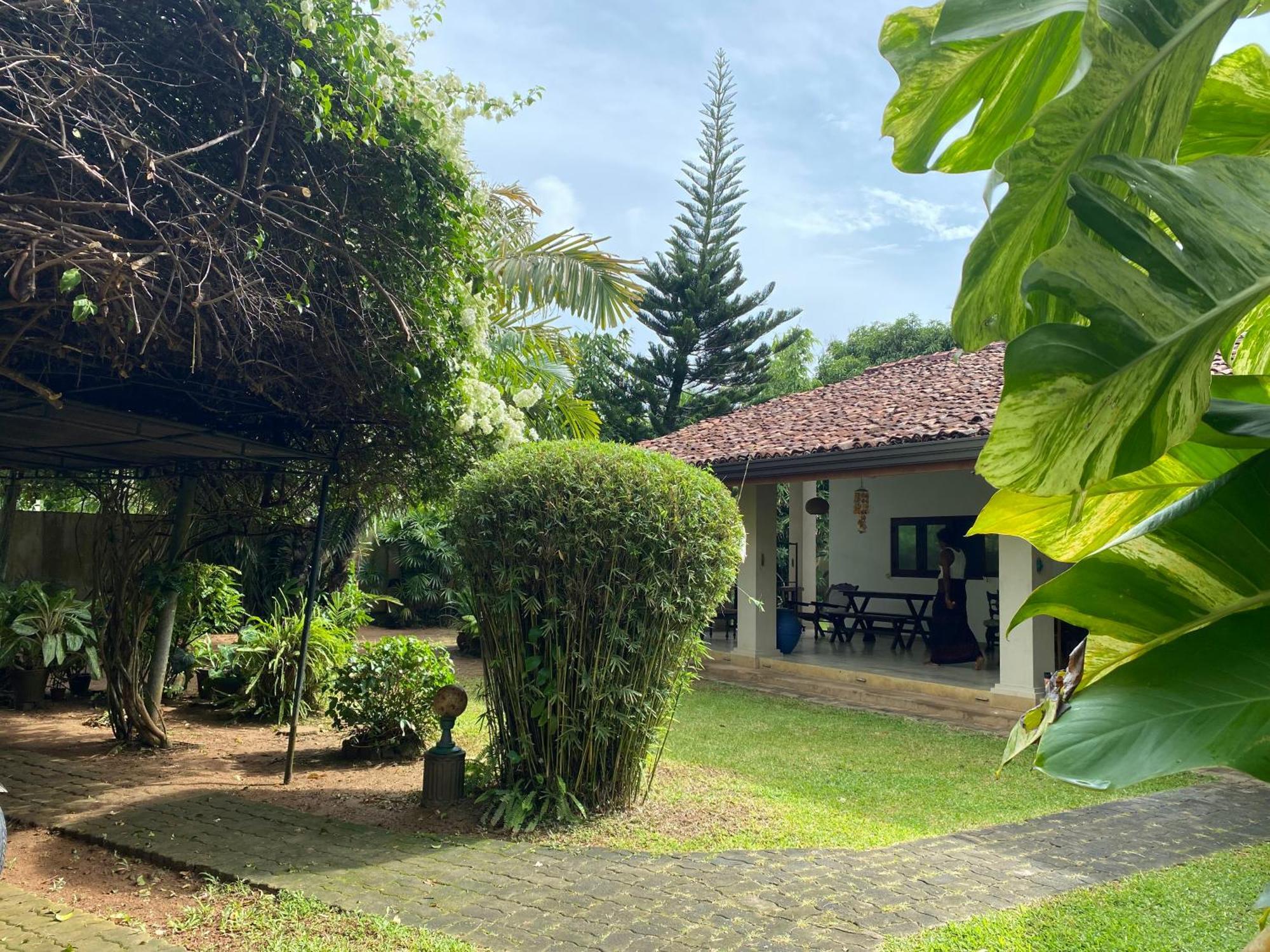 Tangalle Green House Kültér fotó