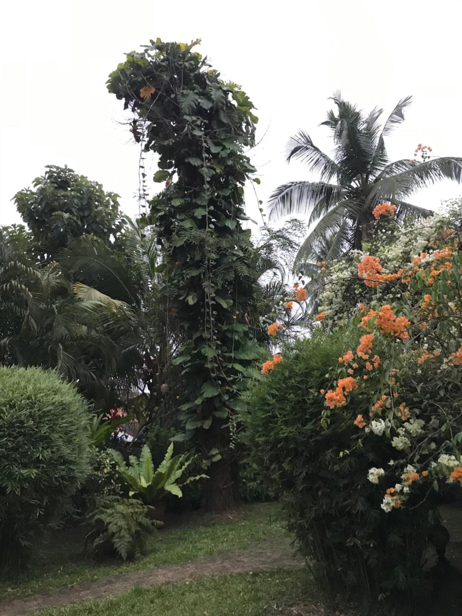Tangalle Green House Kültér fotó